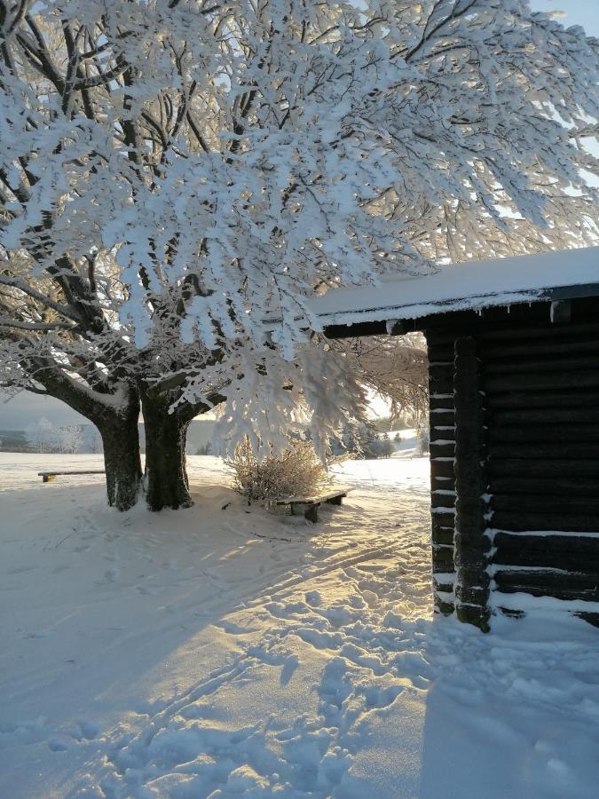 Familien-Hotel Am Traenkbachtal เฟราเอนวาล์ด ภายนอก รูปภาพ
