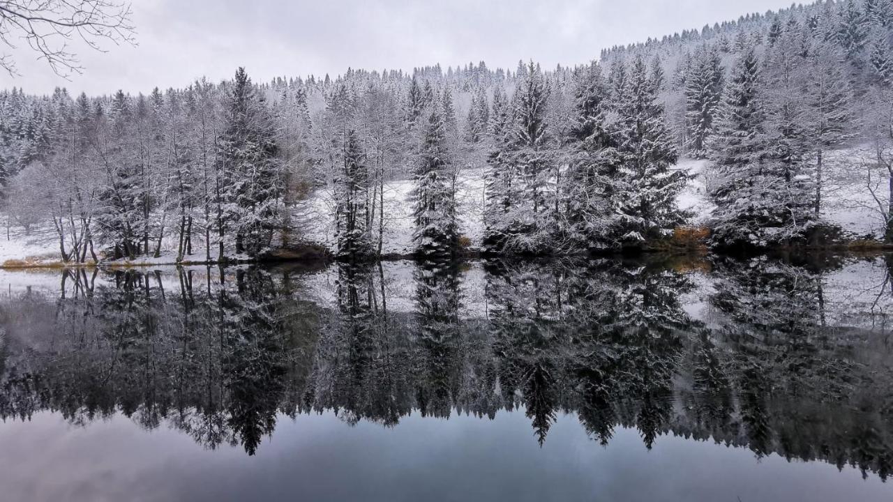 Familien-Hotel Am Traenkbachtal เฟราเอนวาล์ด ภายนอก รูปภาพ