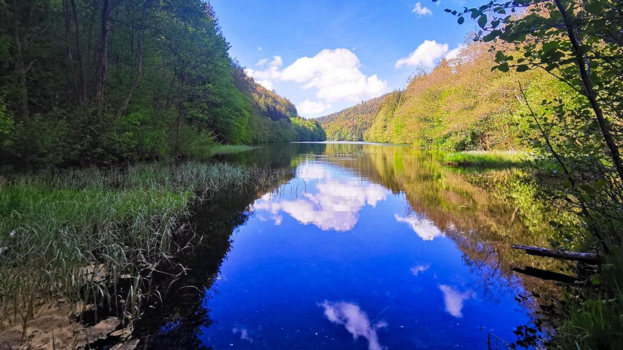 Familien-Hotel Am Traenkbachtal เฟราเอนวาล์ด ภายนอก รูปภาพ