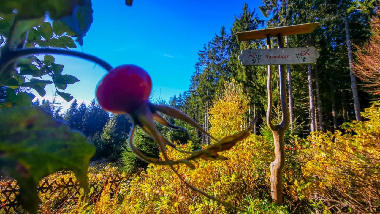 Familien-Hotel Am Traenkbachtal เฟราเอนวาล์ด ภายนอก รูปภาพ
